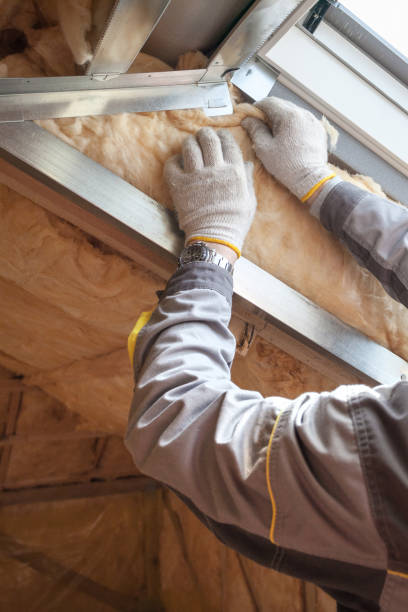 Best Soundproof Insulation Installation  in St Peter, MN